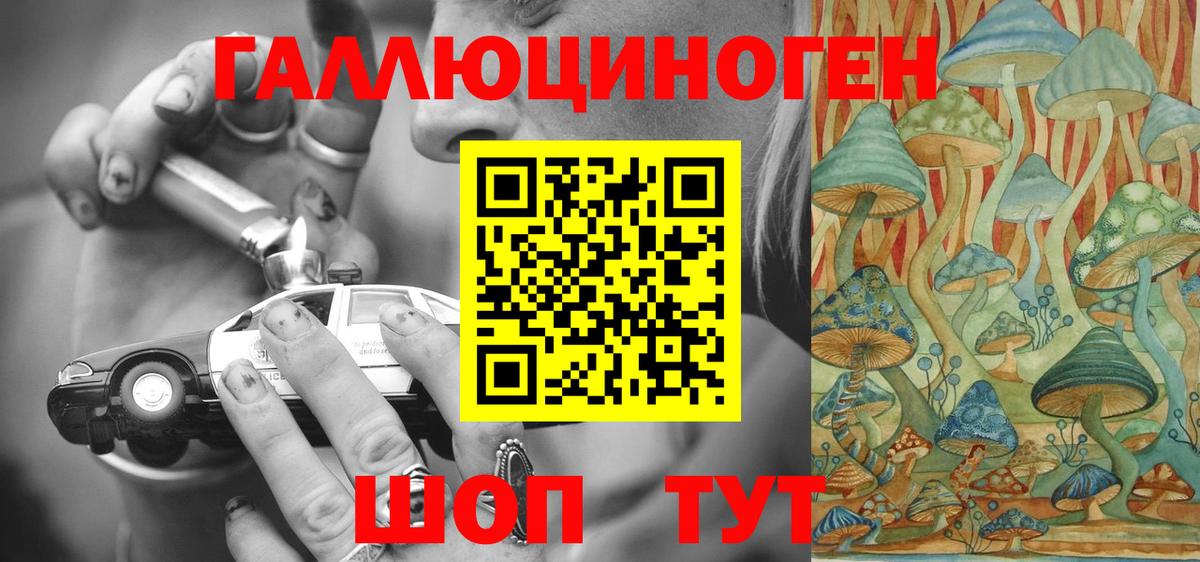 Самара  Псилоцибиновые грибы Cubensis  Вход с VPN 